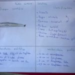 appunti del laboratorio