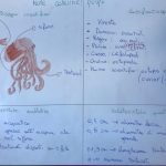 appunti del laboratorio