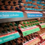 foto_diletta_dindelli