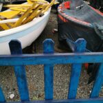 foto_diletta_dindelli