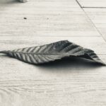 foto_ilaria_migliarese