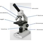 microscopio
