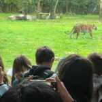 parco_natura_viva_copertina